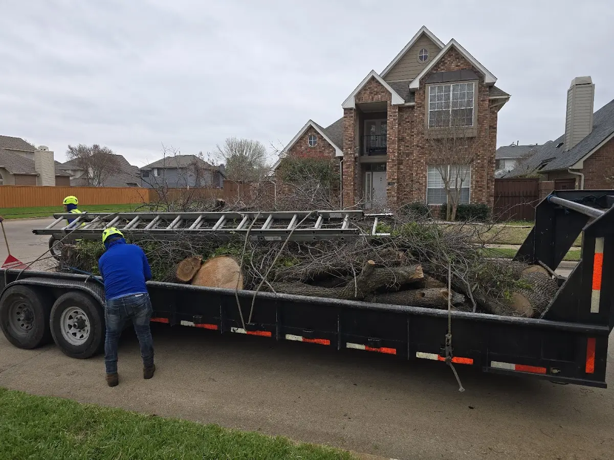 Expert Lot Clearing with proper safety equipment in Seabrook